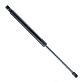 Comprar Amortiguador de maletero de EINPARTS EP9198GS a bajo precio de 13,98 €