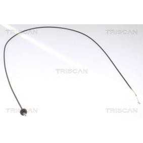 Motorhaube des Herstellers TRISCAN - Originalware Artikelnummer: 8140 23602