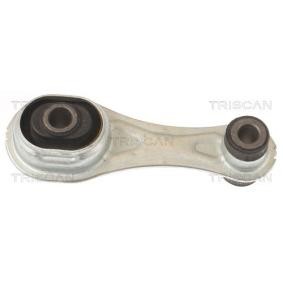 Motorlager des Herstellers TRISCAN - Originalware Artikelnummer: 8505 10124