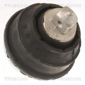 Motorlager des Herstellers TRISCAN - Originalware Artikelnummer: 8505 11102