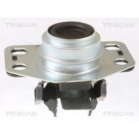 Compre Suporte, motor da TRISCAN 8505 25107 a um preço baixo por 34,51 €