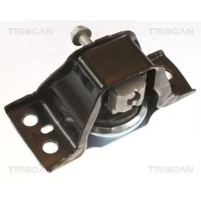 Compre Suporte, motor da TRISCAN 8505 25113 a um preço baixo por 86,92 €