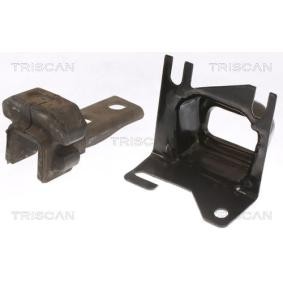 Compre Suporte, motor da TRISCAN 8505 25117 a um preço baixo por 33,81 €