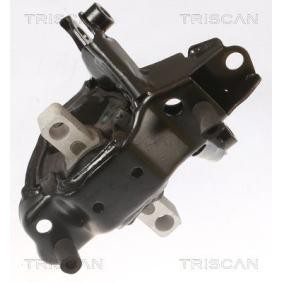 Acquista Supporto motore da TRISCAN 8505 29103 a buon mercato per soli 71,27 €