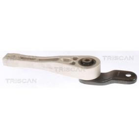 Acquista Supporto motore da TRISCAN 8505 29109 a buon mercato per soli 27,20 €