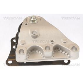 Acquista Supporto motore da TRISCAN 8505 29110 a buon mercato per soli 79,95 €