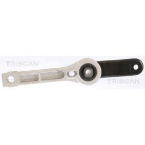 Acquista Supporto motore da TRISCAN 8505 29123 a buon mercato per soli 38,78 €