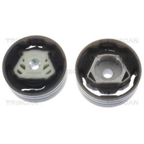 Acquista Supporto motore da TRISCAN 8505 29137 a buon mercato per soli 43,47 €