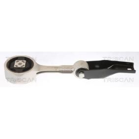 Acquista Supporto motore da TRISCAN 8505 29138 a buon mercato per soli 55,83 €
