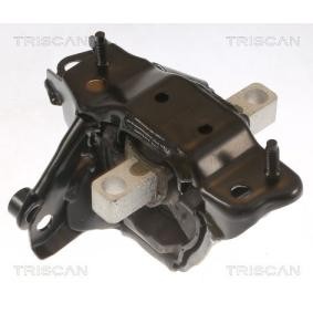 Acquista Supporto motore da TRISCAN 8505 29139 a buon mercato per soli 86,03 €