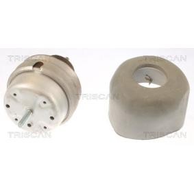 Acquista Supporto motore da TRISCAN 8505 29166 a buon mercato per soli 49,35 €
