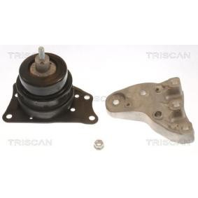 Acquista Supporto motore da TRISCAN 8505 29185 a buon mercato per soli 70,36 €