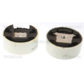 Acquista Supporto motore da TRISCAN 8505 29188 a buon mercato per soli 19,13 €