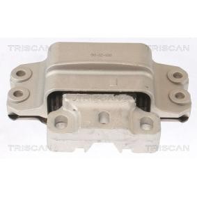 Acquista Supporto motore da TRISCAN 8505 29191 a buon mercato per soli 59,99 €
