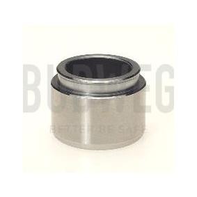 Comprar Émbolo, pinza del freno de BUDWEG CALIPER 233801 a bajo precio de 9,62 €