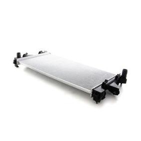 Kjøp Radiator, motorkjøling av BSG BSG 25-520-028 til den lave prisen 3165,27 NOK