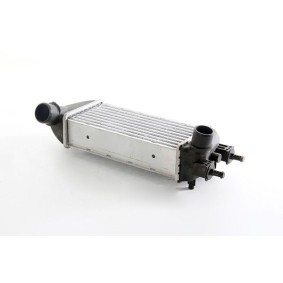 Köp Intercooler av BSG BSG 25-535-015 till det låga priset 1648,75 kr