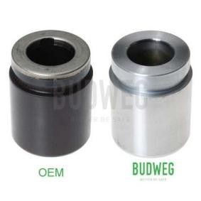 Acquista Pistoncino pinza freno da BUDWEG CALIPER 234865 a buon mercato per soli 19,96 €