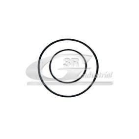 Comprar Junta, bomba de vacío de 3RG 74100 a bajo precio de 5,83 €