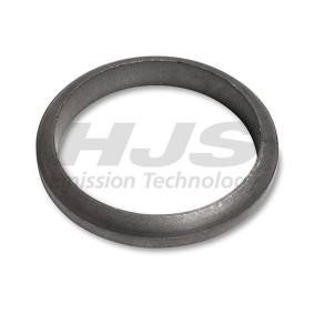 Dichtring, Abgasrohr 83 12 2175 von HJS günstig für 4,49 € online kaufen