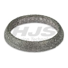 Dichtring, Abgasrohr 83 42 4184 von HJS günstig für 7,50 € online kaufen