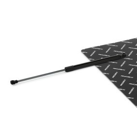 Heckklappendämpfer 219G1195 von RIDEX günstig für 8,81 € online kaufen