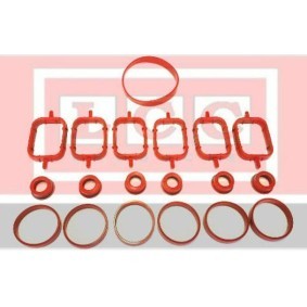 Acquista Kit guarnizioni, Collettore aspirazione da LCC TR1366 a buon mercato per soli 30,68 €
