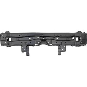 Compre Painel de radiador de DIEDERICHS online para Prius PHV Hatchback (_W52_) a preços moderados