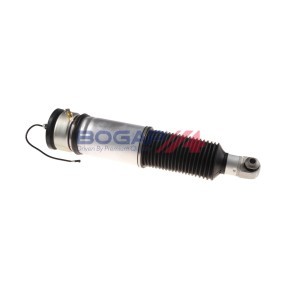 Luftfederbein B3426121 von BOGAP günstig für 473,46 € online kaufen