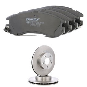 Comprar Kit de discos de freno y pastillas de RIDEX 3405B2502 a bajo precio de 73,40 €