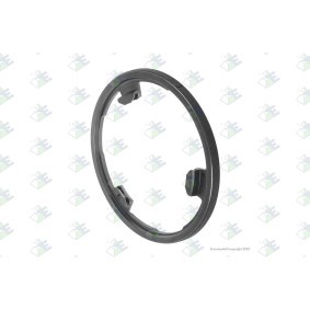 Synchronring, Schaltgetriebe für MERCEDES-BENZ von Euroricambi