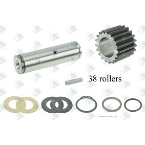 Reparatursatz, Differential 88170189 VOLVO von Euroricambi