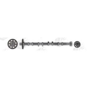 Acquista Albero a camme da AE CAM1040 a buon mercato per soli 249,67 €