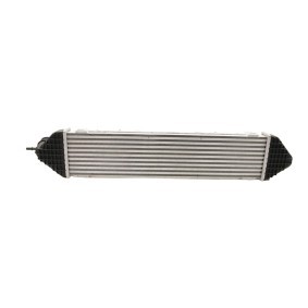 Acquista Intercooler da FAST FT55598 a buon mercato per soli 61,65 €