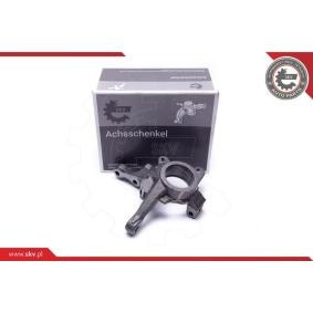 Comprar Mangueta de suspensión de ESEN SKV 47SKV462 a bajo precio de 51,29 €