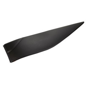 Köp Prydnads- / Skyddslist, skärm av IVECO 5801847156 till det låga priset 602,26 kr
