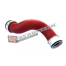 Compre Tubo flexível do ar de sobrealimentação da GT-BERGMANN GT52-195 a um preço baixo por 45,81 €
