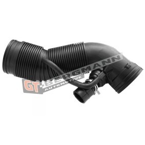 Compre Tubo flexível, alimentação de ar da GT-BERGMANN GT52-402 a um preço baixo por 16,28 €