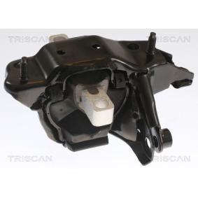 Acquista Supporto motore da TRISCAN 8505 29104 a buon mercato per soli 73,37 €