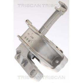 Acquista Supporto motore da TRISCAN 8505 29146 a buon mercato per soli 69,89 €