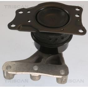 Acquista Supporto motore da TRISCAN 8505 29176 a buon mercato per soli 125,67 €
