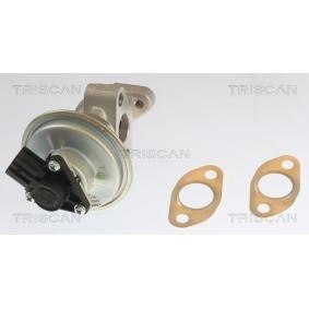 AGR-Ventil für FORD von TRISCAN