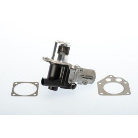 Compre Válvula EGR da BTS TURBO A100019 a um preço baixo por 126,20 €