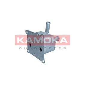 Acquista Radiatore olio da KAMOKA online per 5 GT (F07) a prezzi moderati
