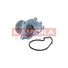 Wasserpumpe für KIA von KAMOKA