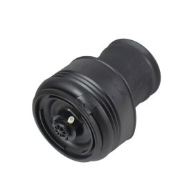 Compre Fole, suspensão pneumática da ABAKUS 131-02-109 a um preço baixo por 97,03 €