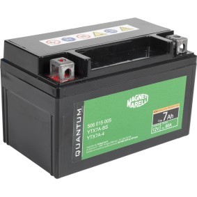 Batterie des Herstellers QUANTUM ENERGY - Originalware Artikelnummer: 10831