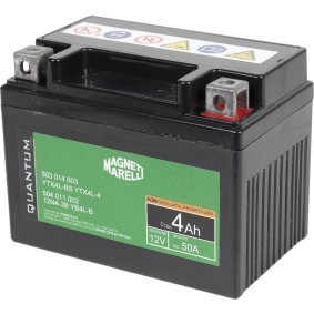 Batterie des Herstellers QUANTUM ENERGY - Originalware Artikelnummer: 3622
