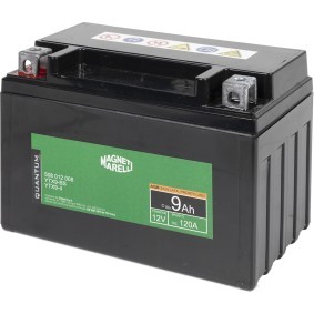Batterie des Herstellers QUANTUM ENERGY - Originalware Artikelnummer: 3625