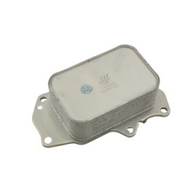 Acquista Radiatore olio motore da FAST FT55424 a buon mercato per soli 51,79 €